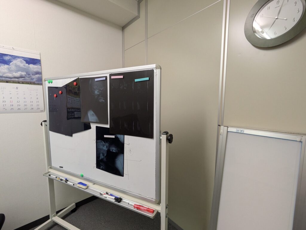 交通事故による負傷や後遺障害の検討に用いるX線画像を掲示した法律事務所のホワイトボード